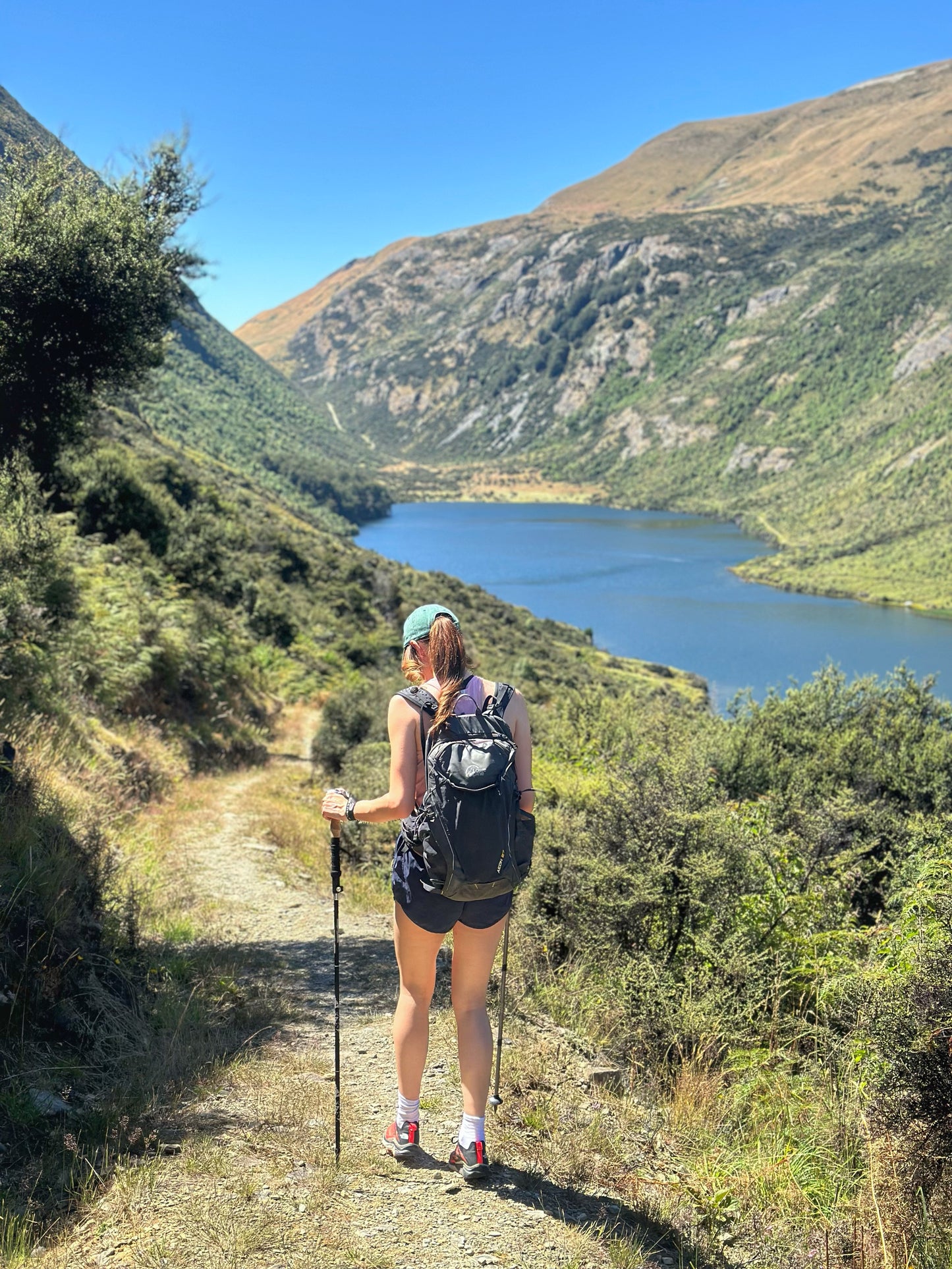 Private Guided Mt Crichton Hike