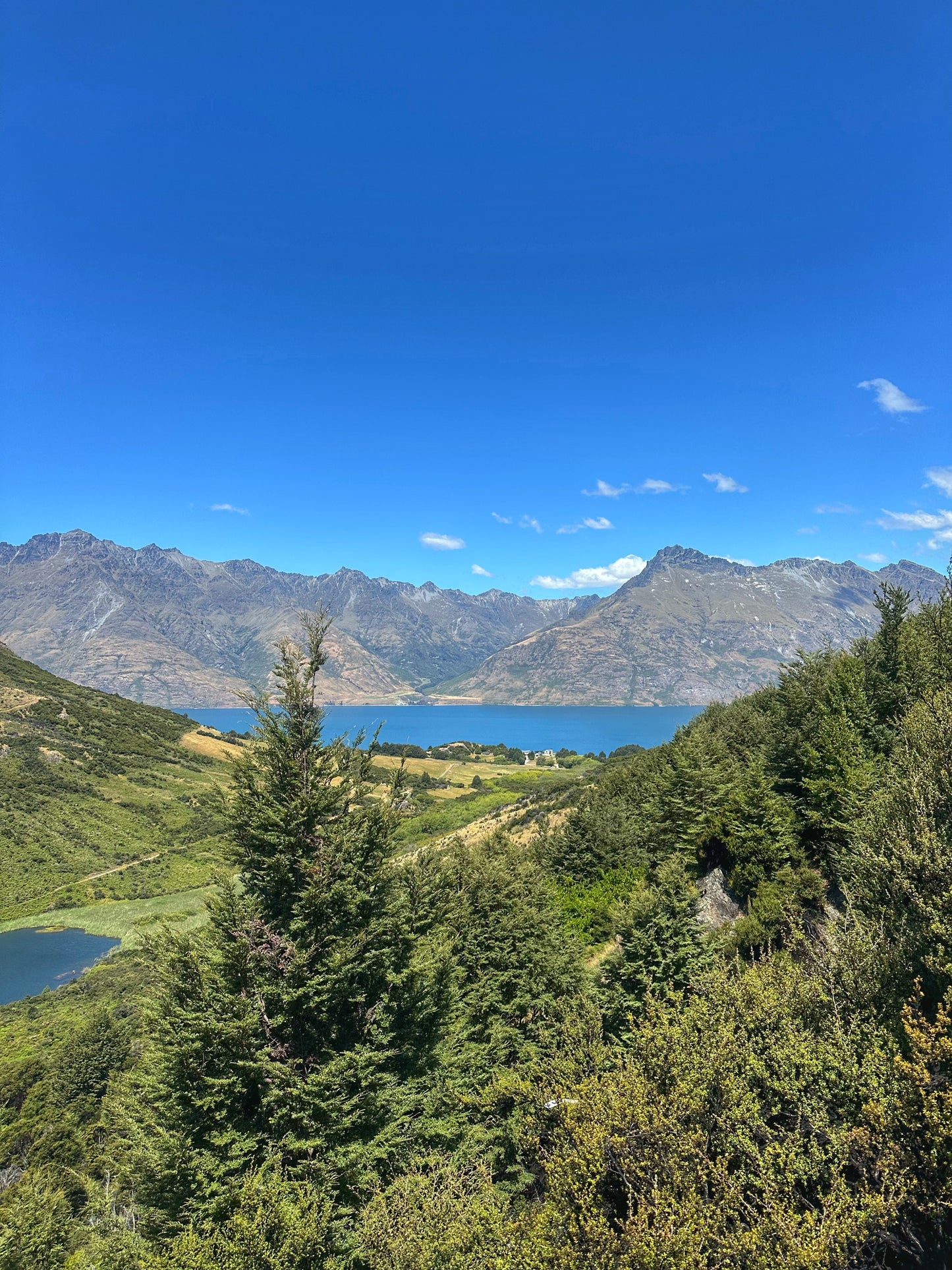 Private Guided Mt Crichton Hike