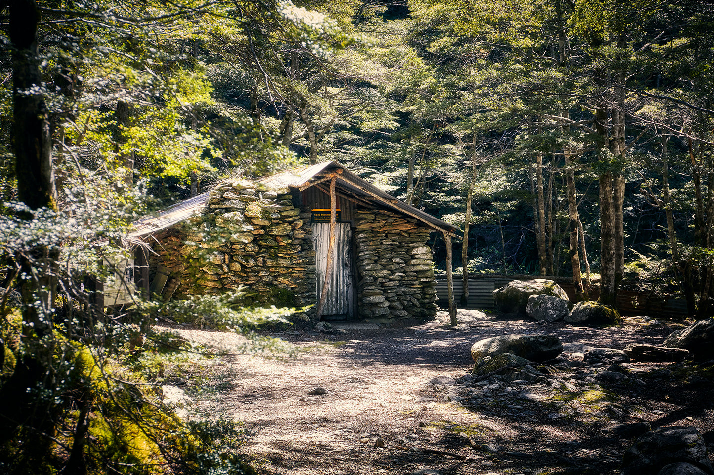 Private Guided Mt Crichton Hike
