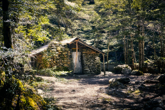 Sam Summers Hut along the Mt Crichton Loop Track, a historic gold miner’s shelter in native beech forest near Queenstown