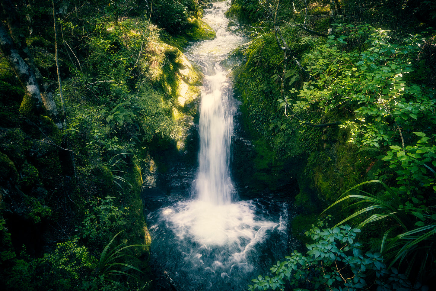 Private Guided Mt Crichton Hike