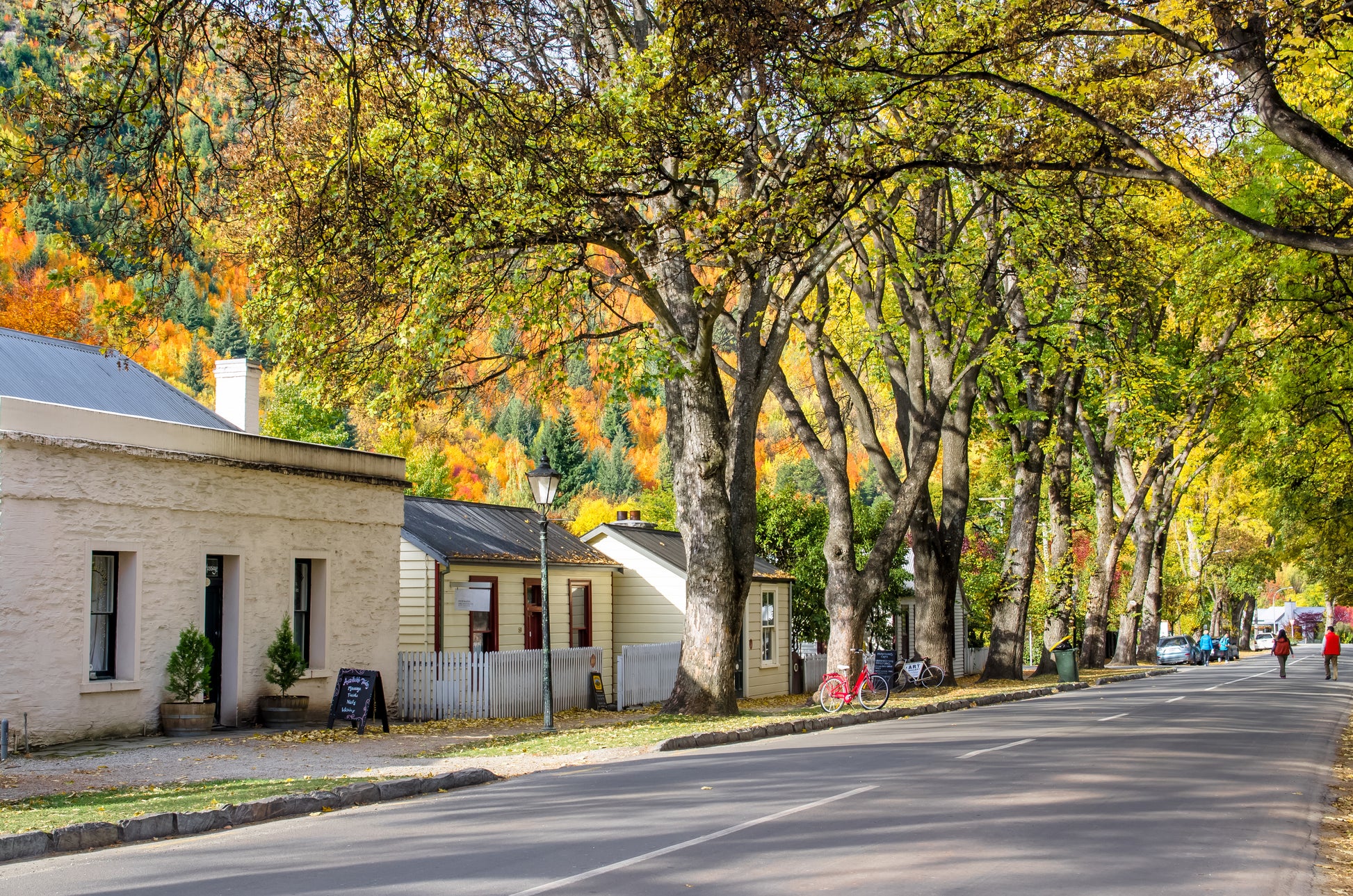 Tree-lined avenue leading into Arrowtown during autumn with golden leaves