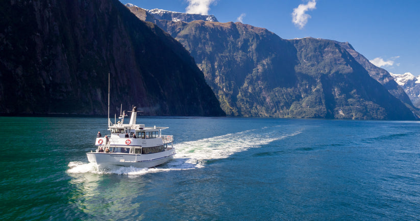 Aerial view of Milford Sound fjord with waterfalls and sheer cliffs on a New Zealand day trip