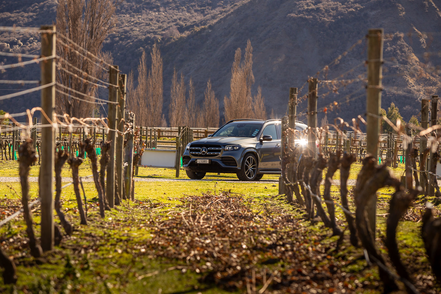 Luxury Mercedes vehicle for Three Vines Guided Wine Tour in Queenstown