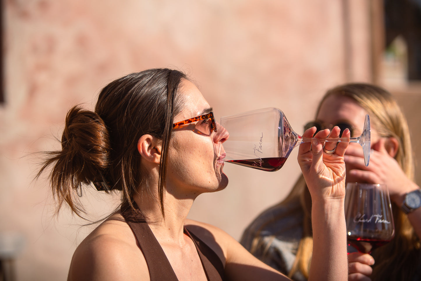 Guided wine tasting included in the Three Vines Tour Queenstown