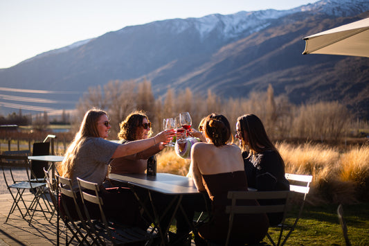 Three Vines Guided Tour in Queenstown with Gibbston Valley mountain views