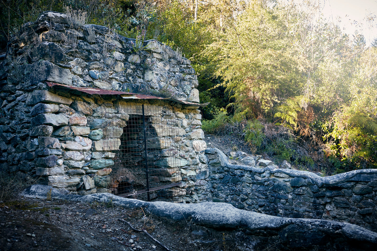 Private Guided Bob's Cove Tour