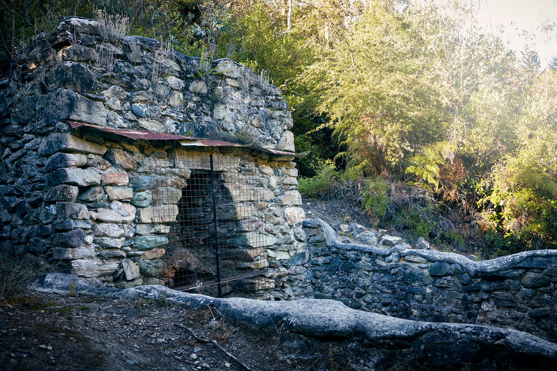 Private Guided Bob's Cove Tour