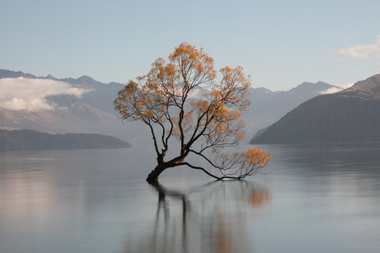 Guided Wanaka Tour